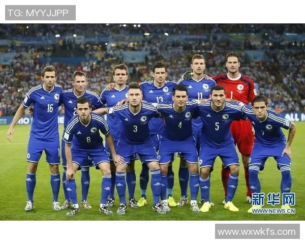 波黑足球明星的崛起与成就揭秘及其对国家足球的影响