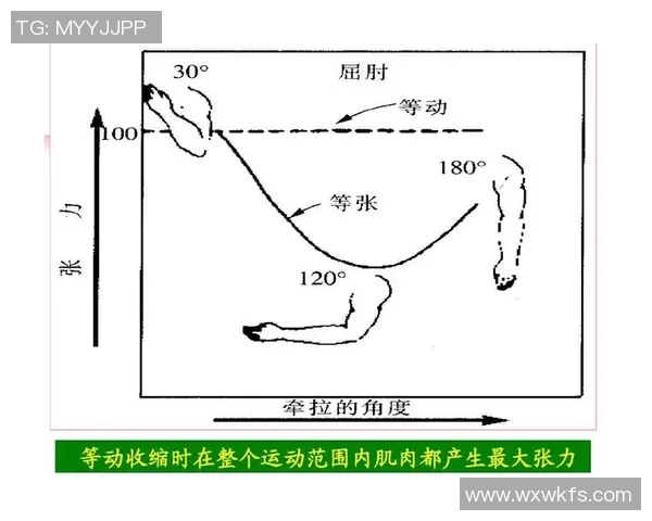 一天最佳体育锻炼时间的科学分析与实践建议